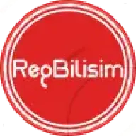 RegBilisim