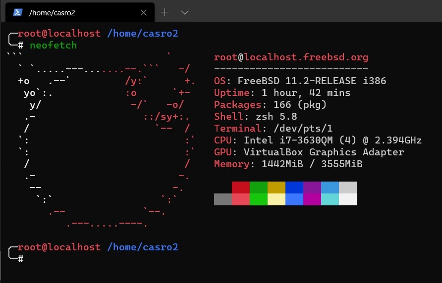 oh my zsh freebsd 11.jpg