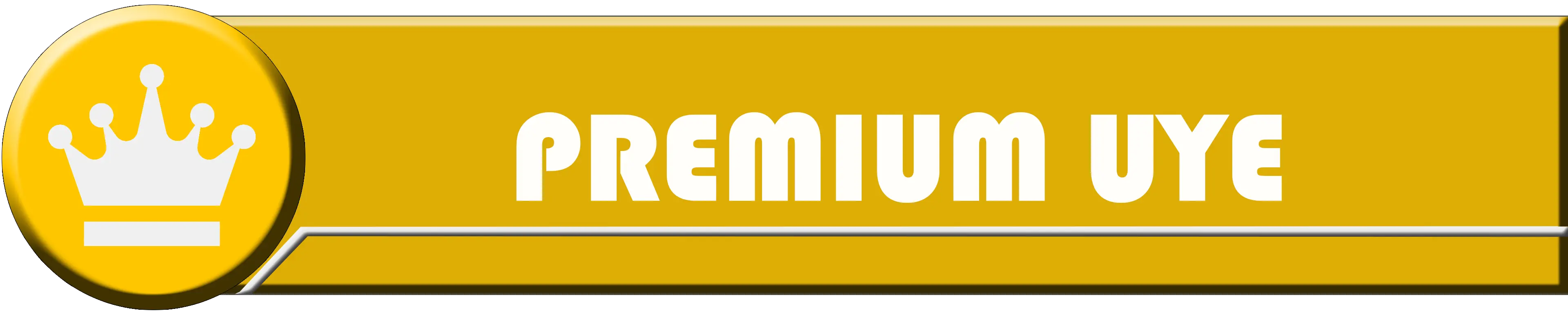 premium üye.webp