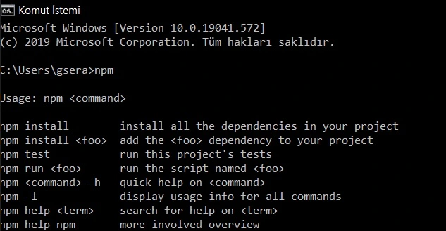 windows komut istemi npm.jpg